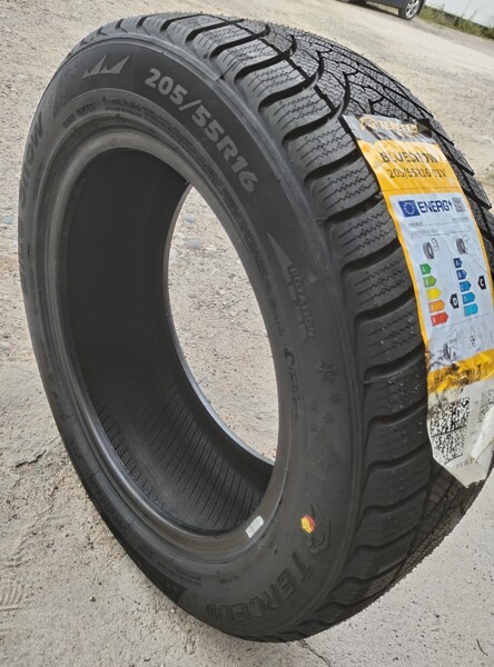 Tercelo BlueSnow 195/65R15 91V