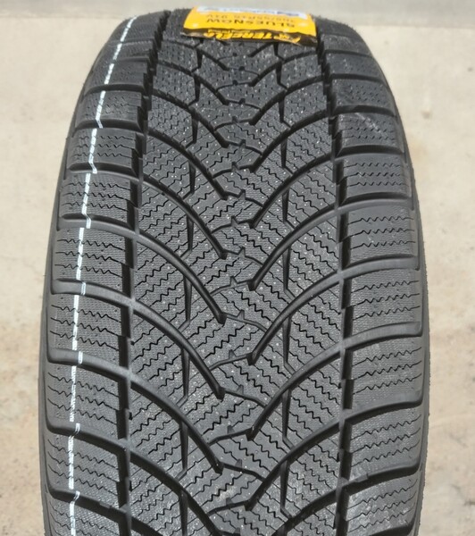 Tercelo BlueSnow 195/65R15 91V